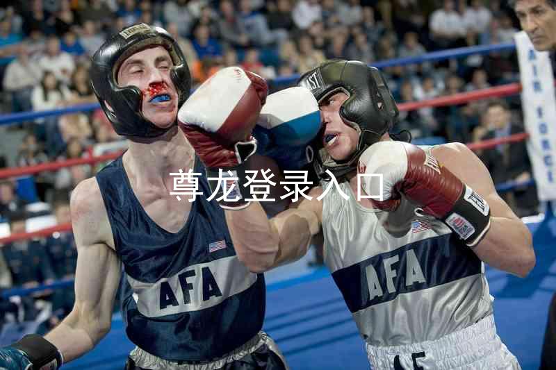 尊龙登录入口