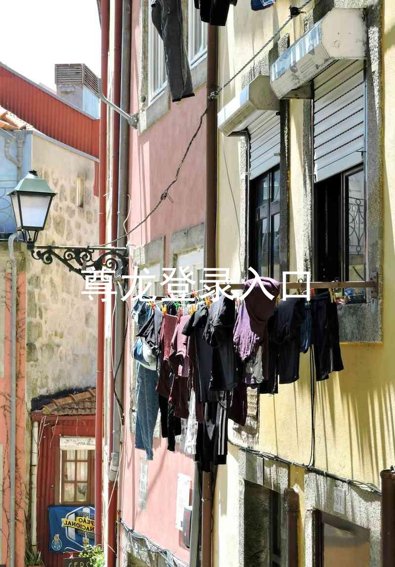 尊龙登录入口